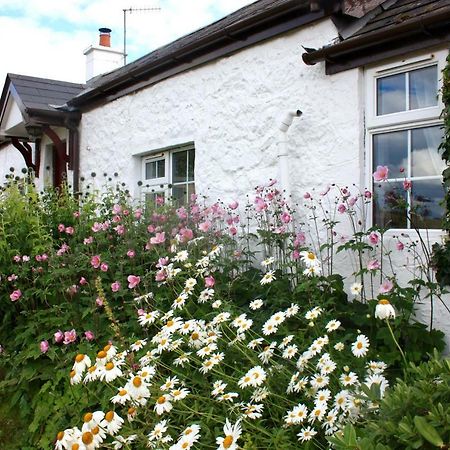 Tornaroan Cottage บัลลีคาสเซิล ภายนอก รูปภาพ
