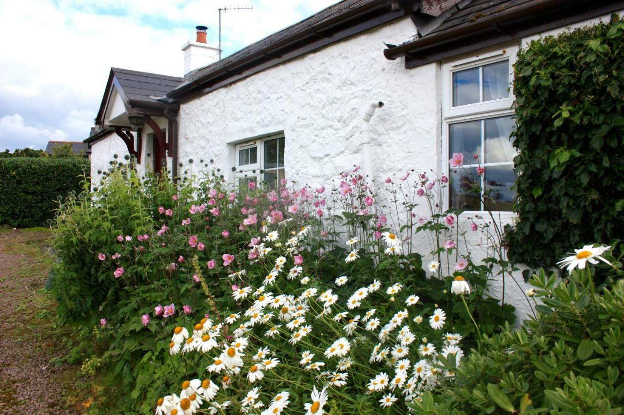 Tornaroan Cottage บัลลีคาสเซิล ภายนอก รูปภาพ